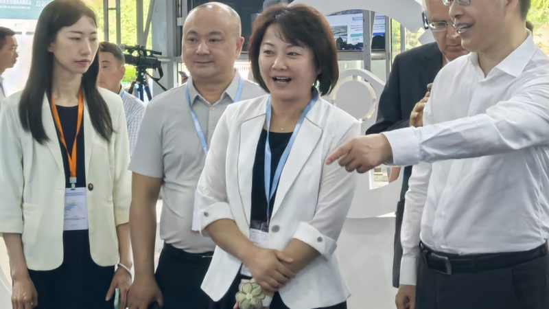 发动机外部清洗剂十大品牌排行